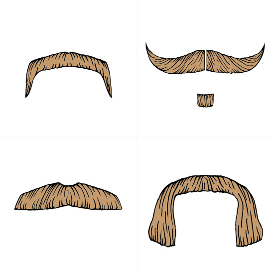 A Study Of Turkish Moustaches