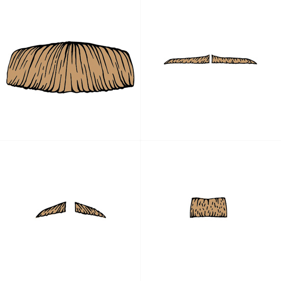 A Study Of Turkish Moustaches