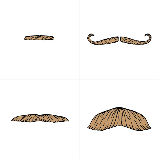 A Study Of Turkish Moustaches